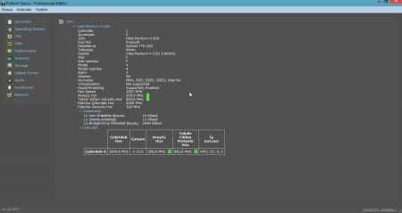 Speccy Professional Business Technician 6