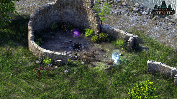 pillars of eternity the white march part ii indir294 1455751000