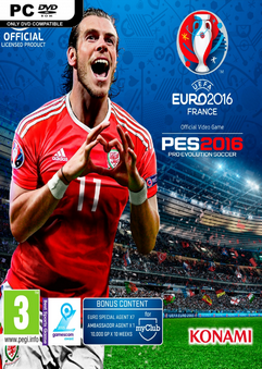 uefa euro 2016 france indir466 1465681932